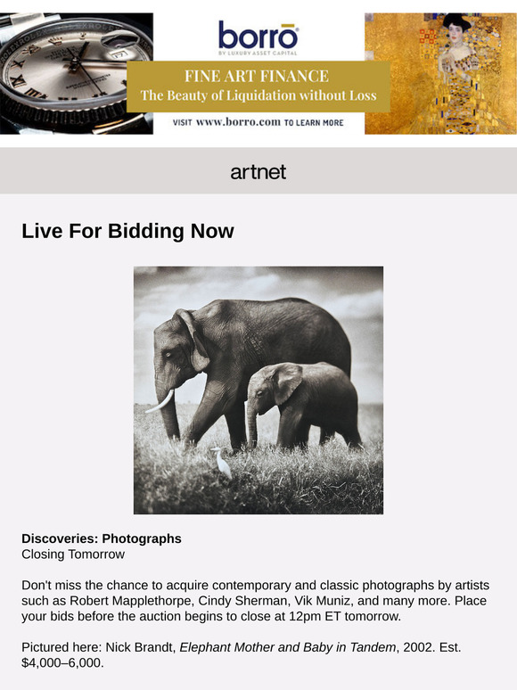 Live Now: Vik Muniz, Freddie Timms & More