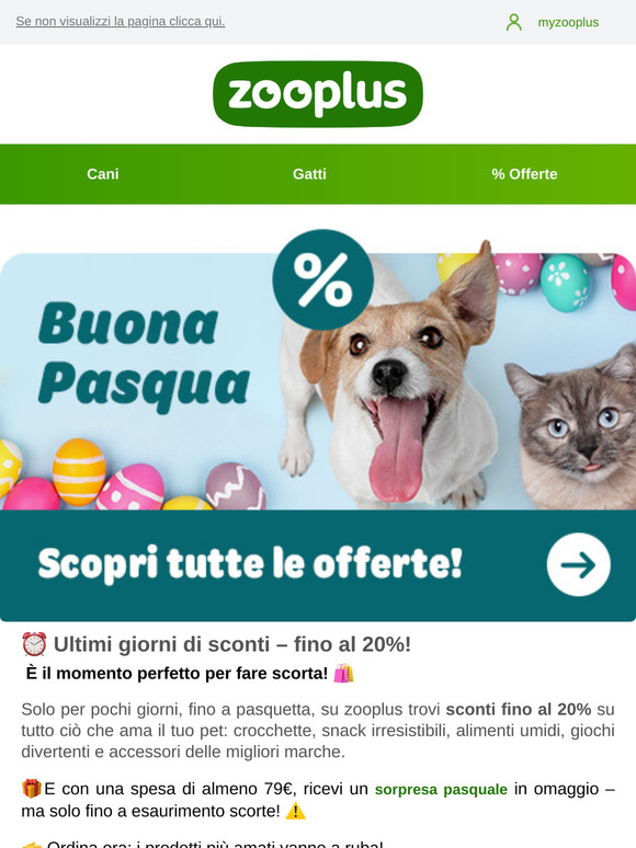 Pasqua su zooplus: fino al -20% + regalo in omaggio 🎁