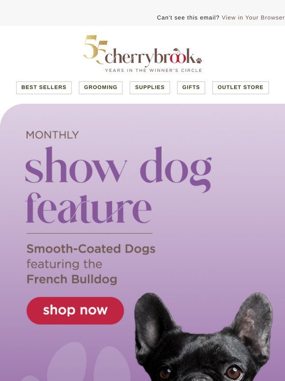 The French Bulldog is Our New Show Dog Of The Month!