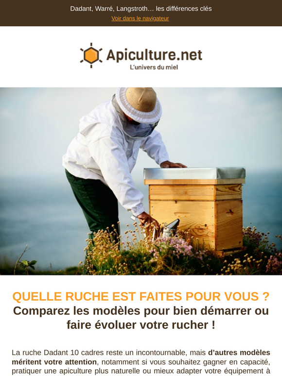 🐝 Quelle ruche choisir ? On vous guide !