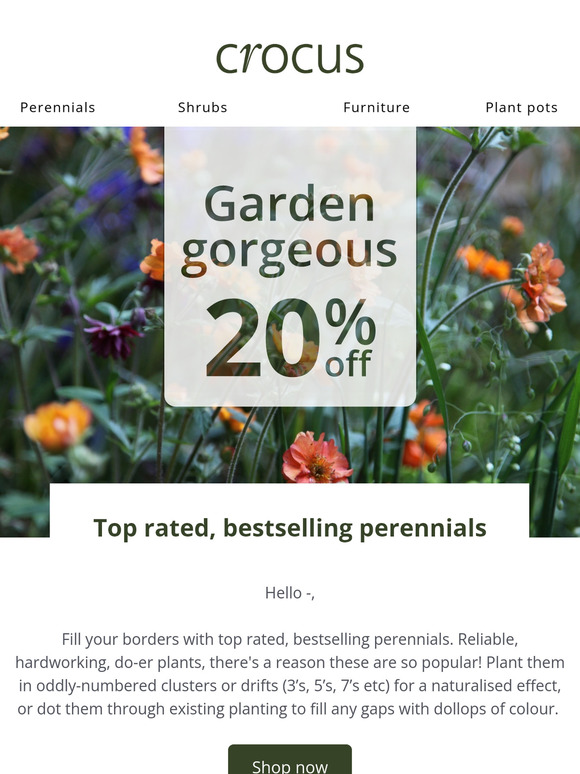 Bestsellers ✔️ Top-rated ✔️ 20% off ✔️