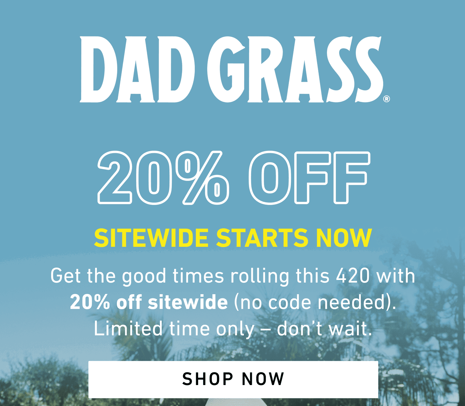 shop 20% off sitewide, no code needed