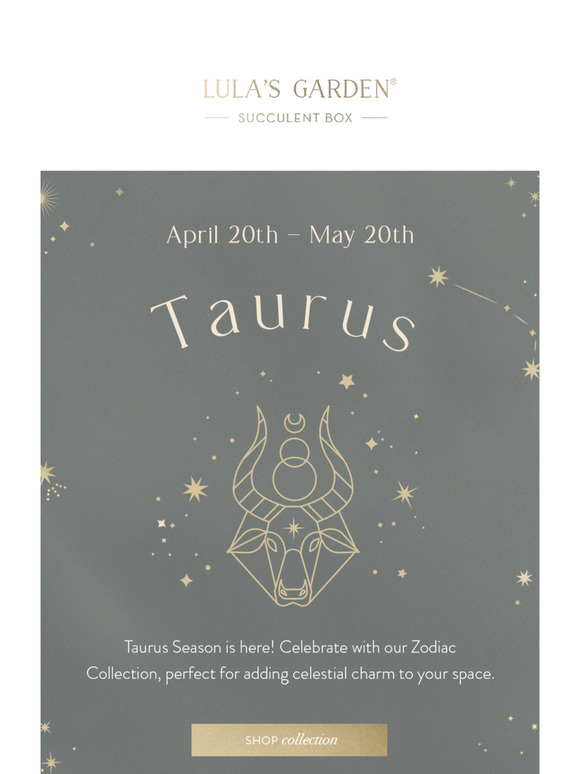 Get Ready To Wish Your Taurus Friend A Happy Birthday! ♉️