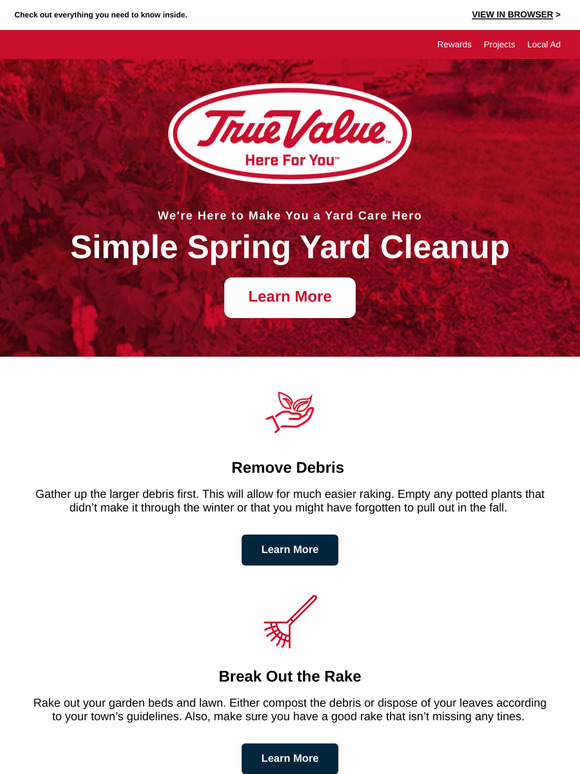 Simple Spring Yard Clean Up 🍃 🏡