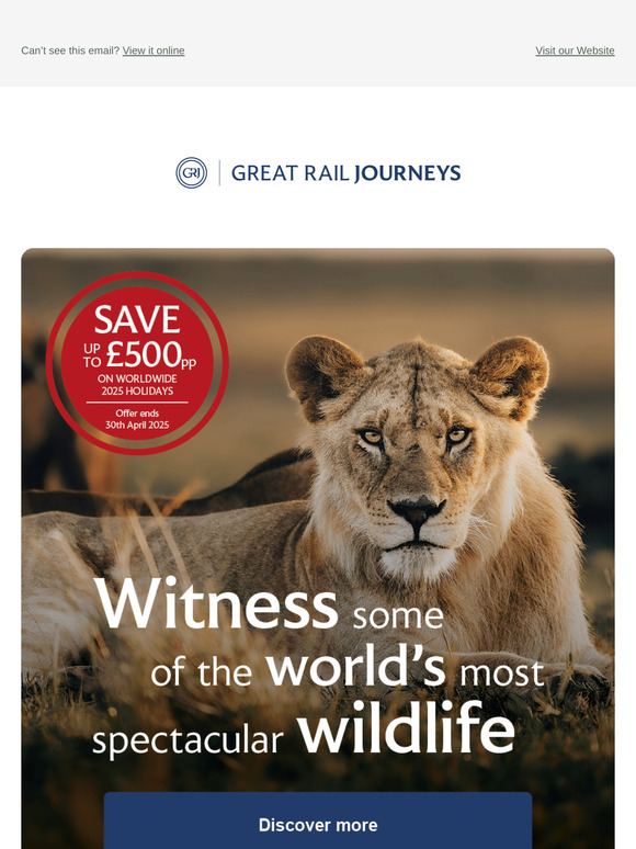 Witness iconic wildlife moments