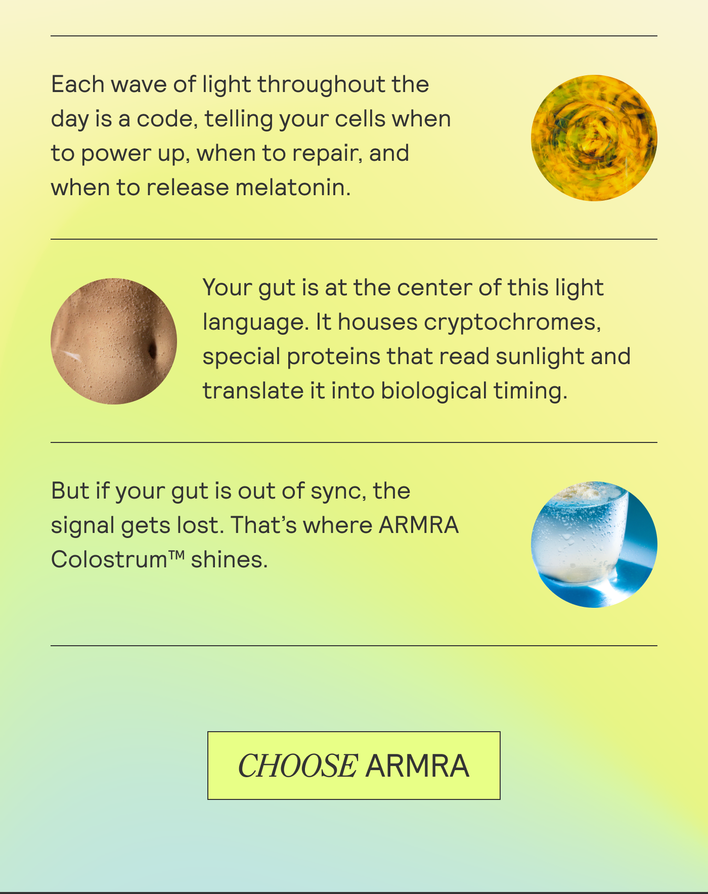 Eaach wave of light throughout the day is a code, telling your cells when to power up, when to repair, and when to release melatonin. Your gut is at the center of this light language. It houses cryptochromes, soecial proteins that read sunlight and translate it into biological timing, CHOOSE ARMRA