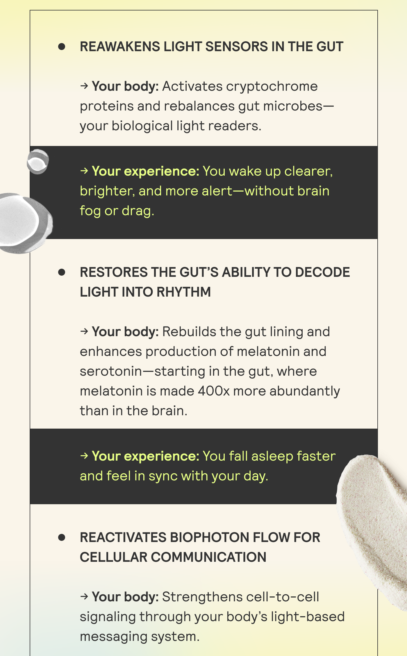 Reawakens Light Sensors in the Gut. Restores the gut's ability to decode light into rhythm. Reactivates biophoton flow or cellular communication