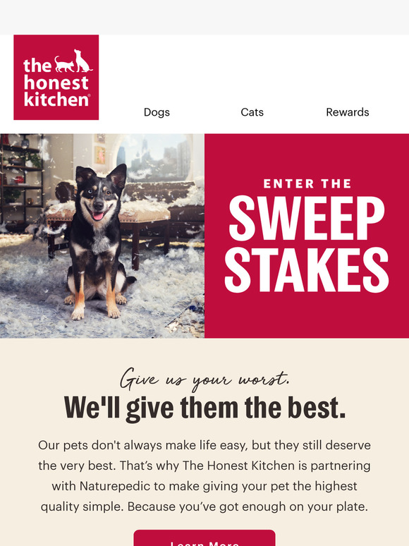 You Could Win a Year of The Honest Kitchen + a Luxury Bed Bundle!
