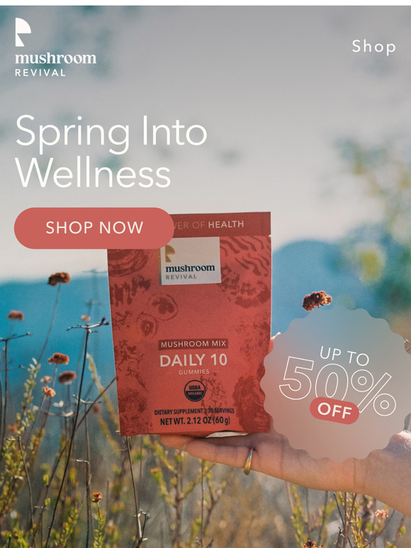 Up to 50% Off Everything!
