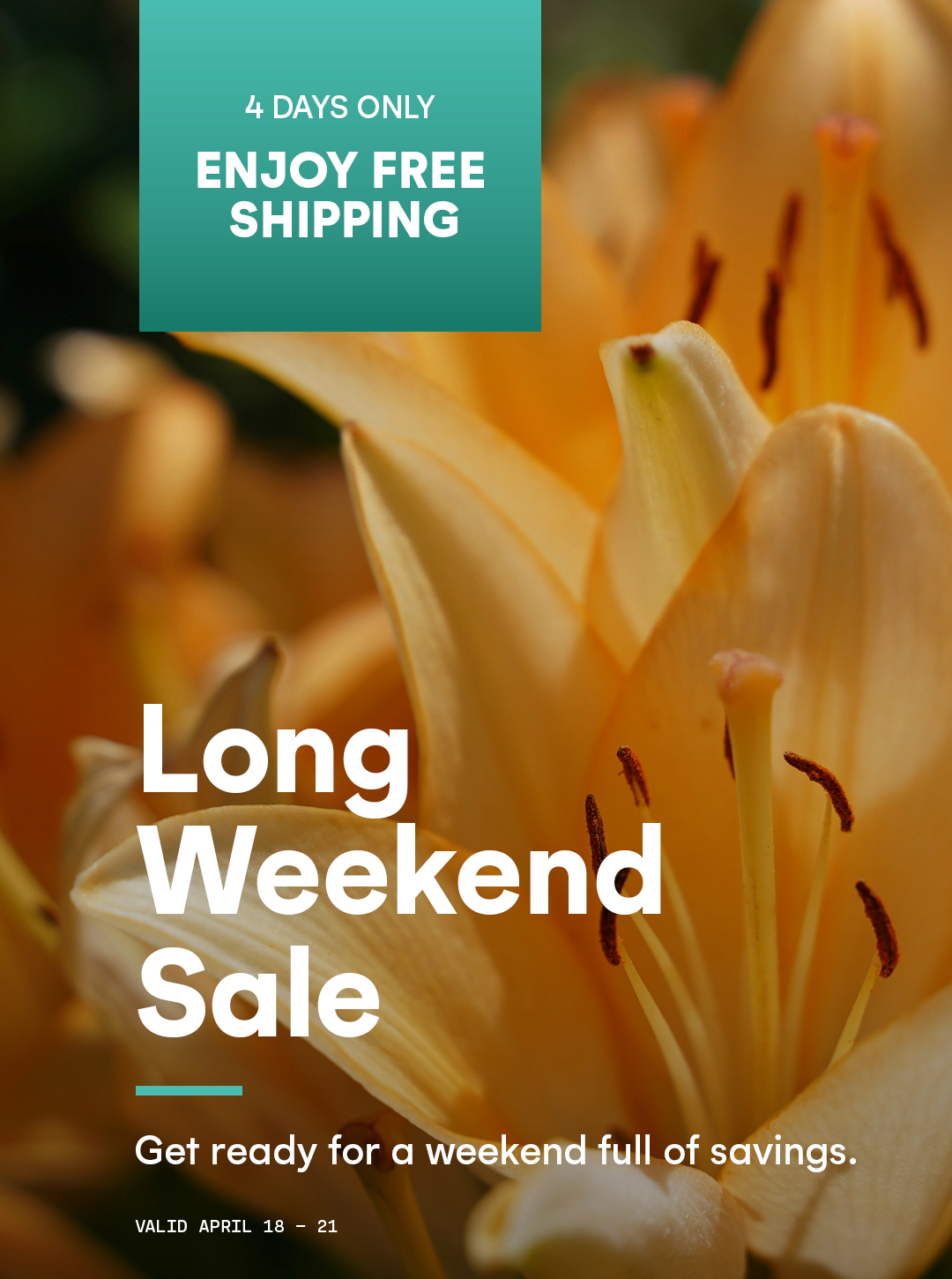 Long Weekend Sale