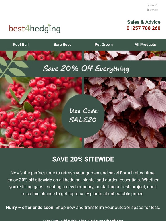 Save 20% Across the Site This Weekend