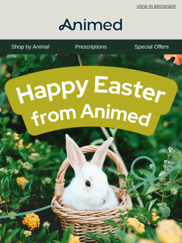 Happy Easter from Animed!