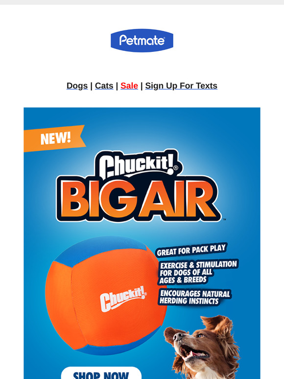 Bigger Play, Bigger Fun with the Chuckit! Big Air Fetch Ball!