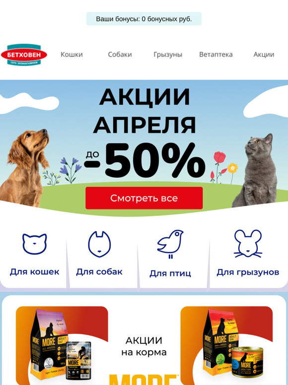 ⏰  Скидки до -50%! 🔥