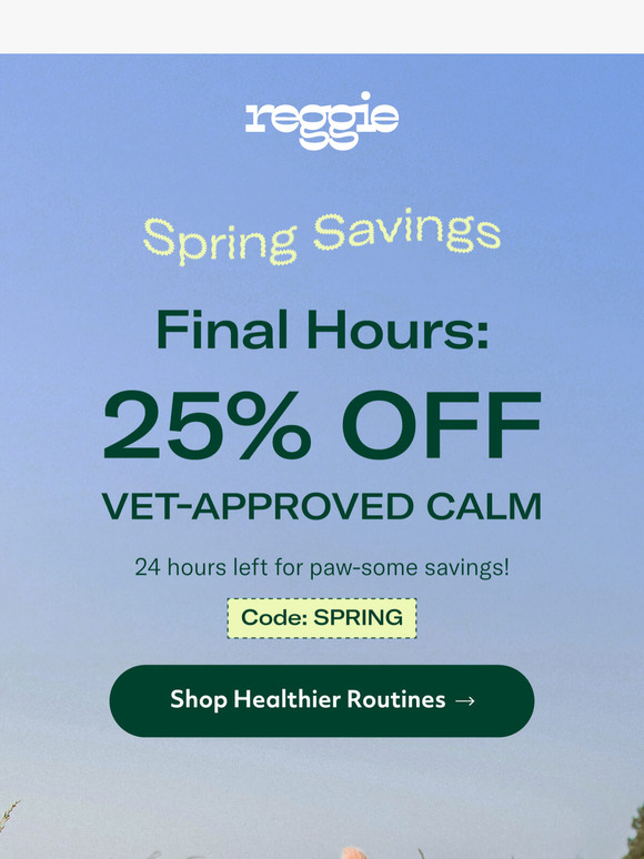 Vet-Approved Calm For Your Pup