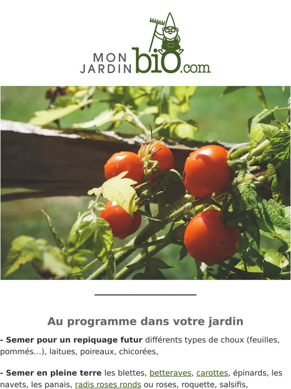 🍆 C'est le moment de commander vos plants potager bio 🍅