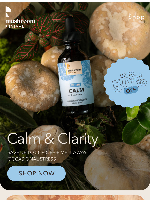 Find Your Calm