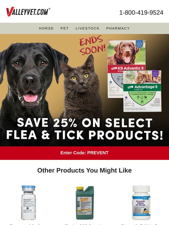 25% Off ends soon!