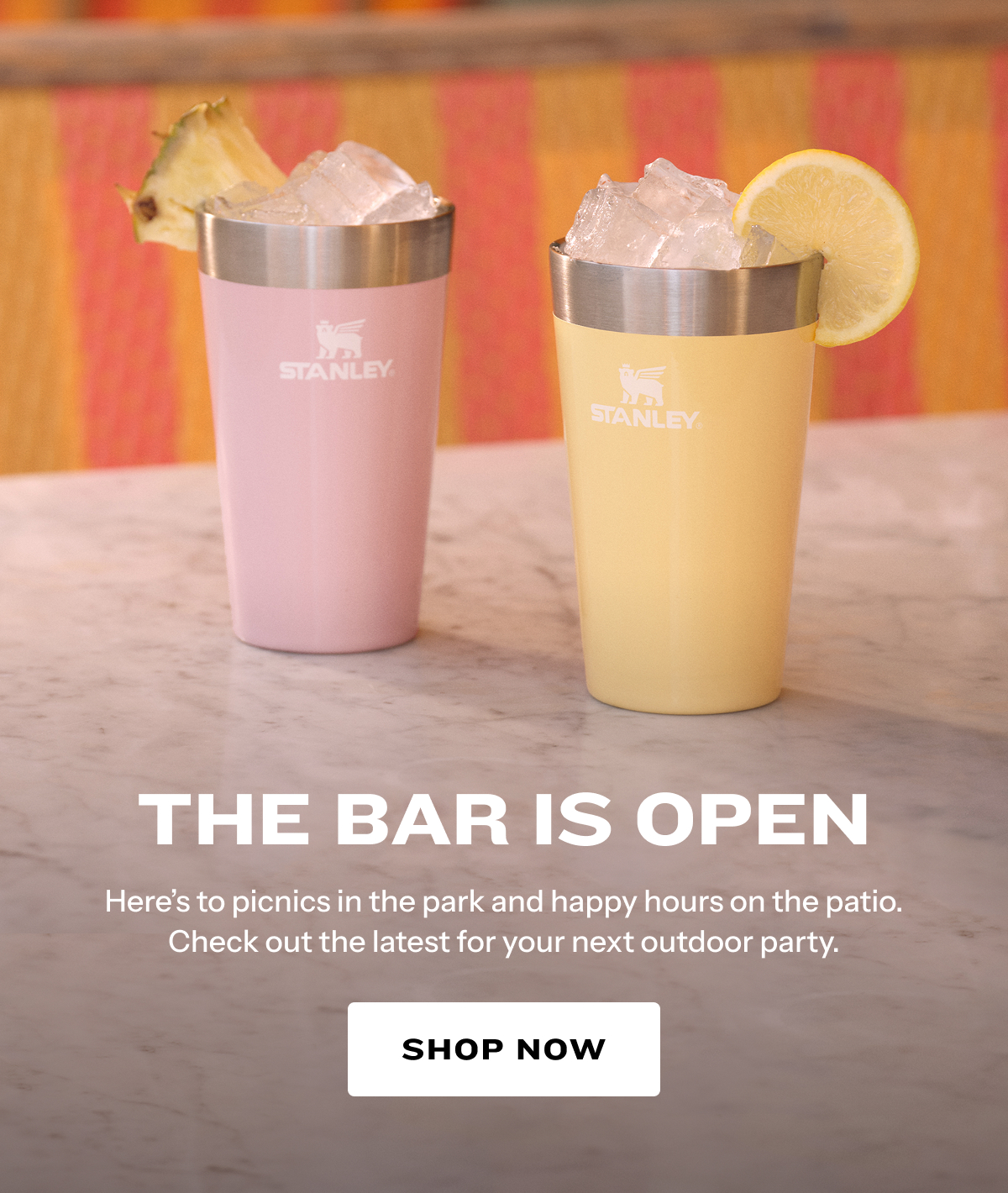 Shop latest barware for your next outdoor party