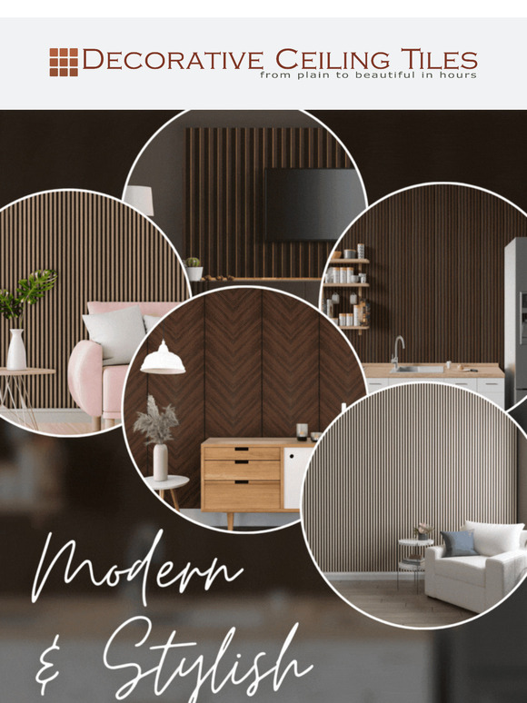 Modern & Stylish✨