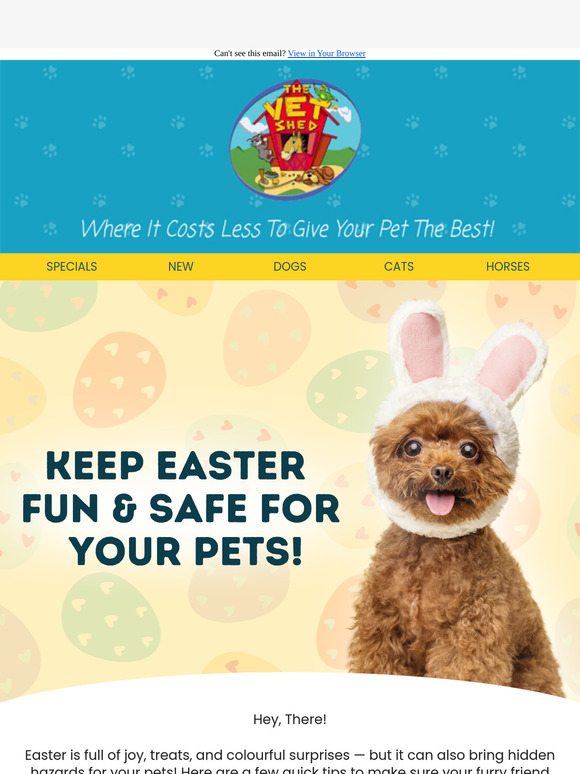 Watch out for these common Easter pet hazards 🚨🐰