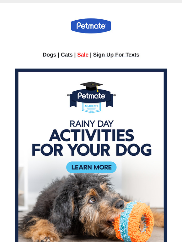 Rain or Shine, Your Dog Deserves to Play, !