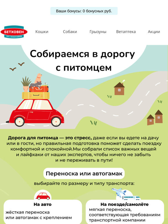 🚗 Сборы без стресса: всё для комфортной поездки с любимцем 🐶🐱