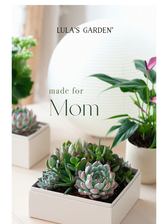 Mother's Day Gifts - Order Now, We'll Ship Later! 💛