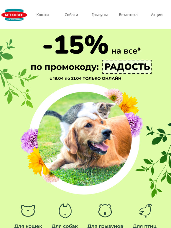 Не пропустите акцию!  🎁 Для Вас промокод на скидку -15%! 🐾🤩
