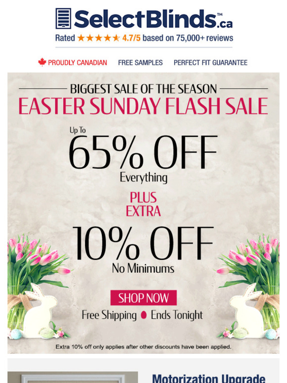 🐇 Celebrate Easter with up to 65% + 10% OFF