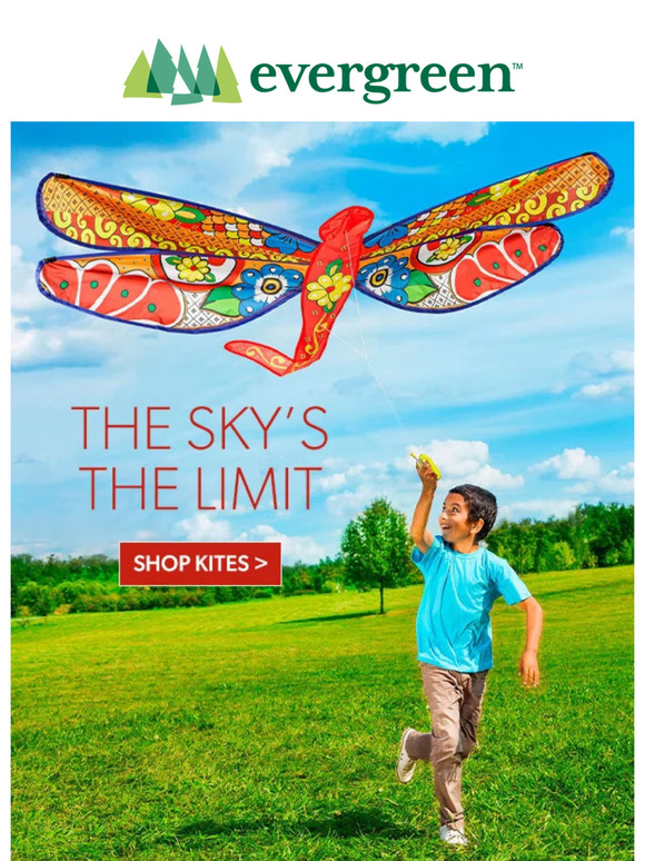 Up, Up, and Away! It’s Go Fly a Kite Day