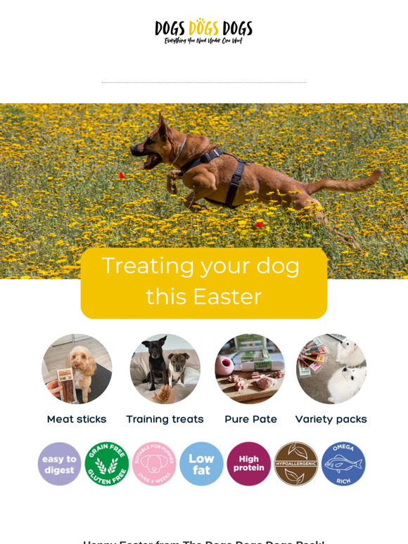 🌸 Happy Easter from Our Pack to Yours + Exciting News!