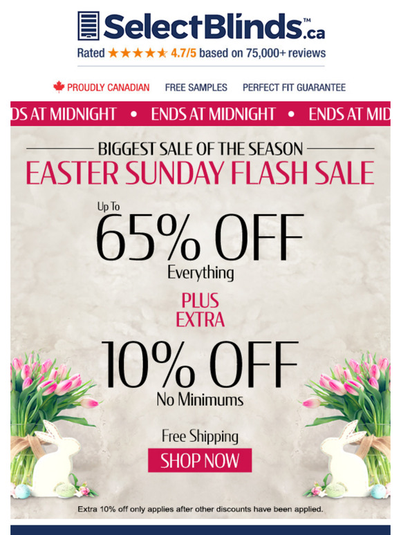 Final Hours 🚨 Save up to 65% + 10%