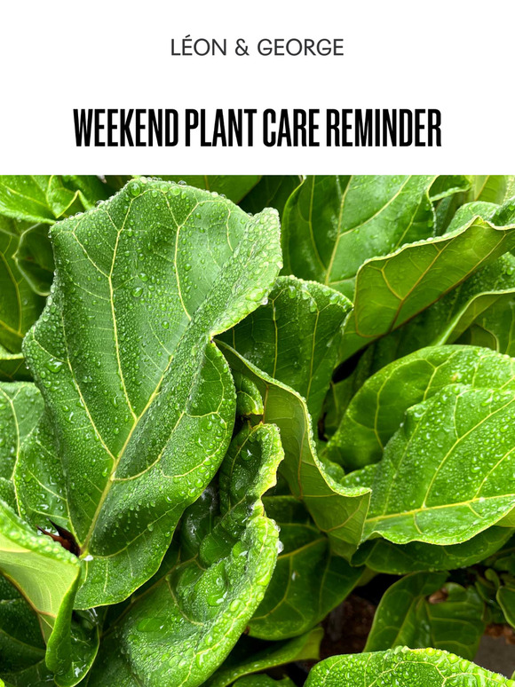 Weekend Plant Care Reminder