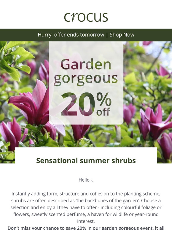 📣 Final call | 20% off plants
