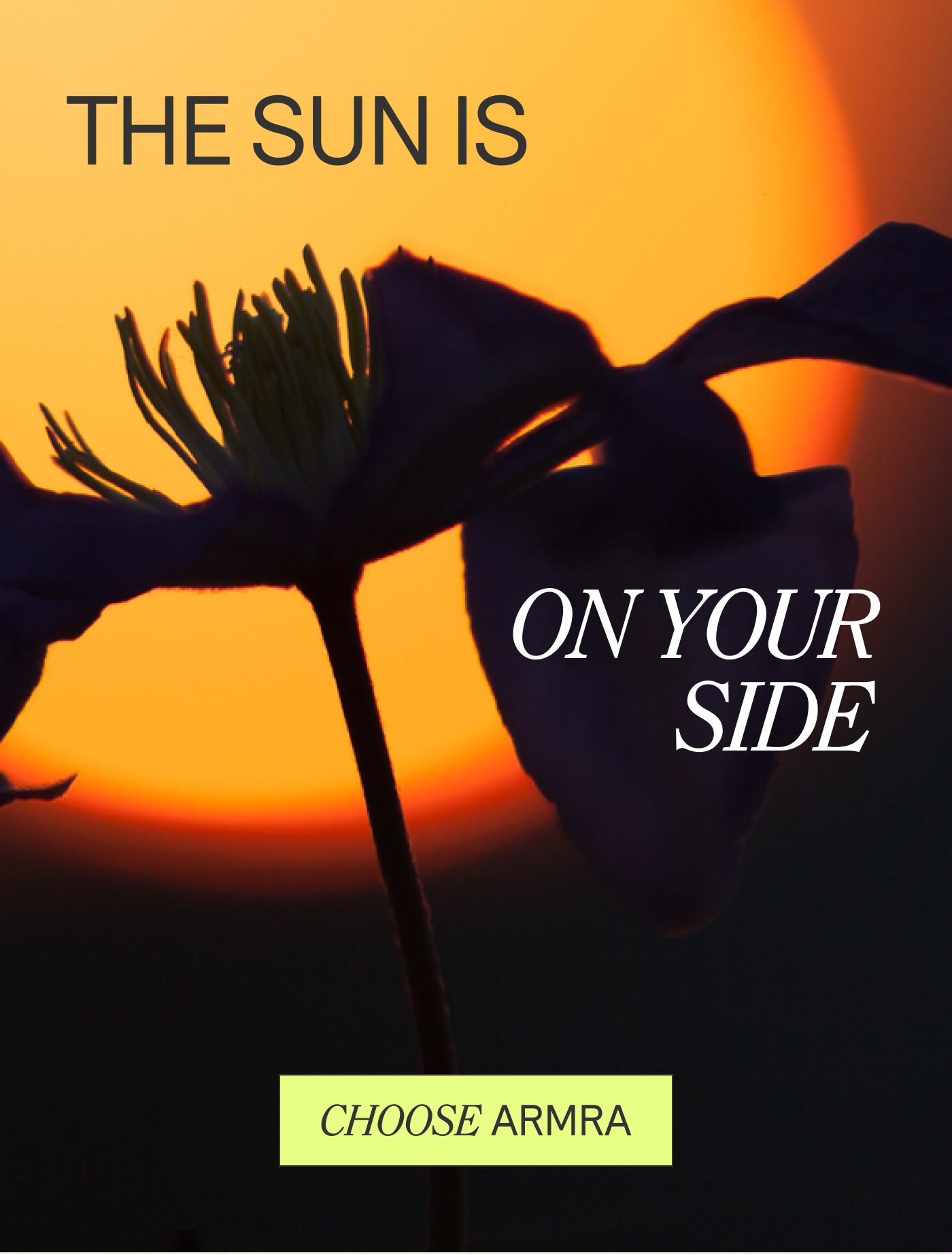 THE SUN IS IN YOUR SIDE