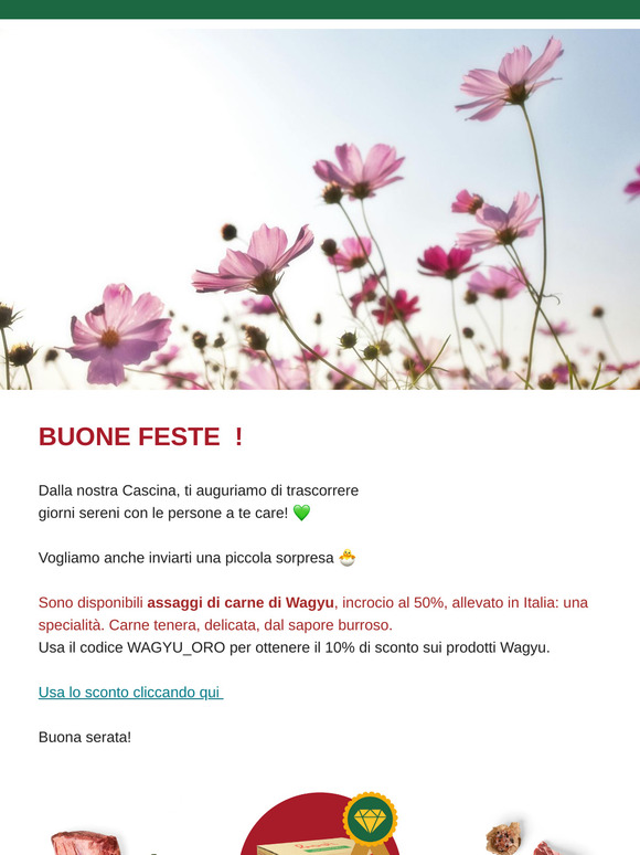 🐣 Nell'uovo abbiamo trovato...
