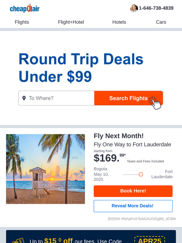 🐰✈ Book Flights for Next Month from $169.99