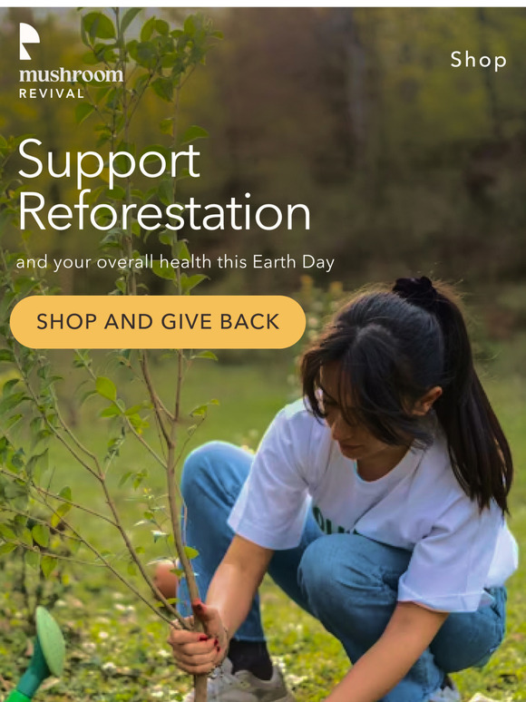 Celebrate Earth Month with Mushroom Revival