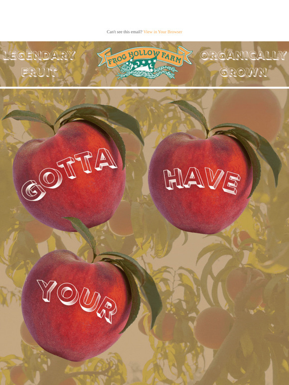 Love Your Peaches! 🍑❤️