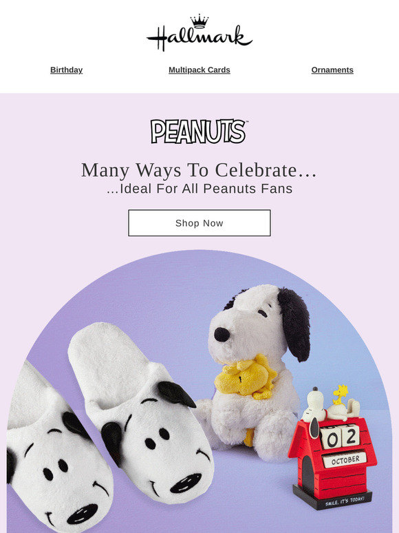 Something for Every PEANUTS™ Fan