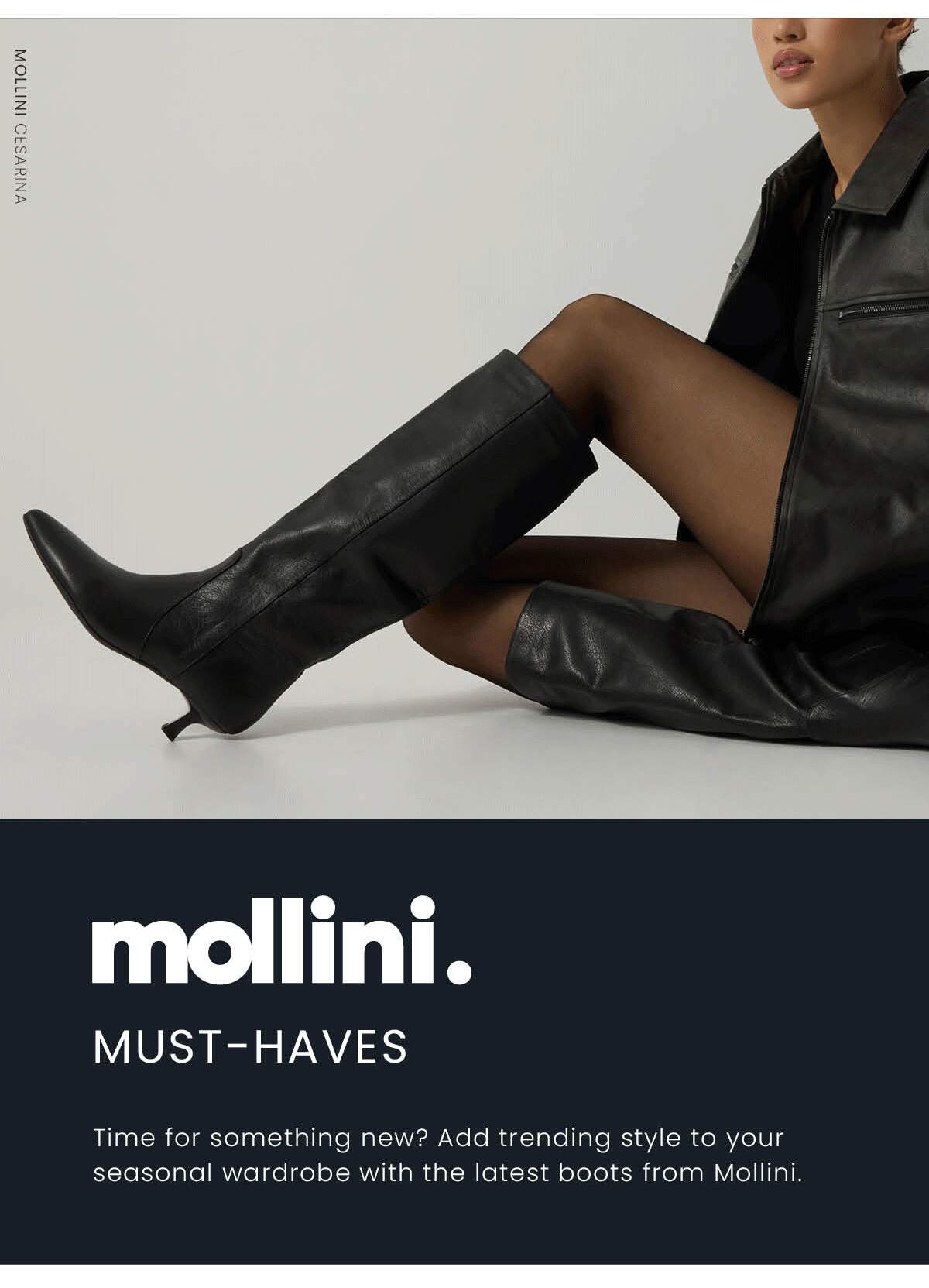 MOLLINI MUST HAVES 