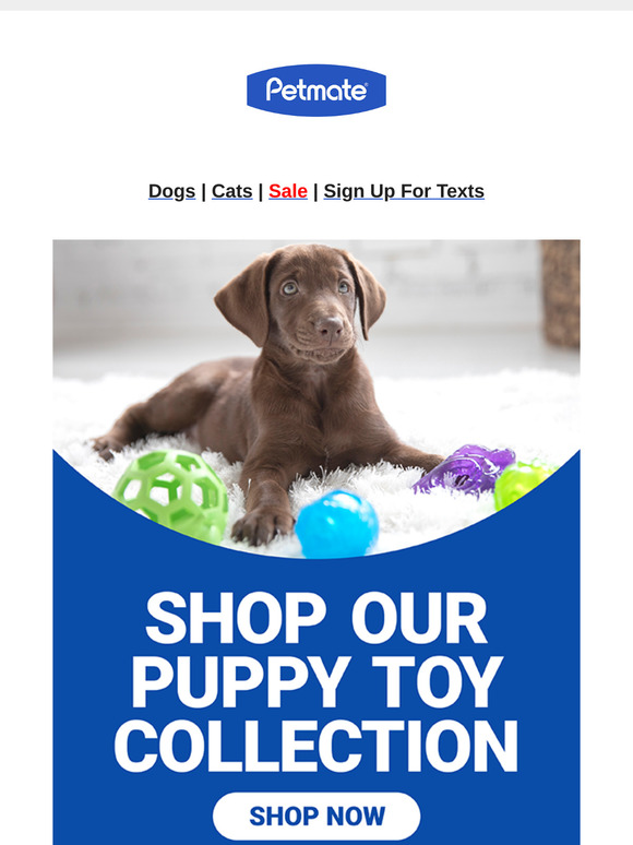 Shop Our Collection of Puppy Toys!, !