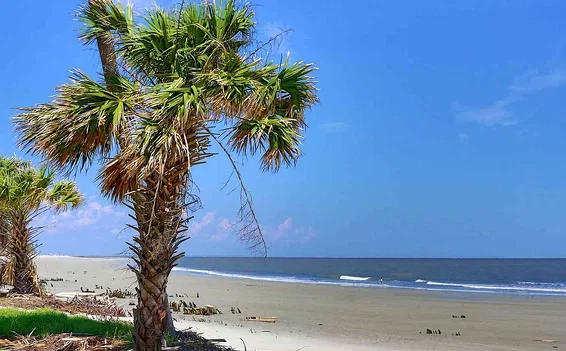 10 Best Islands to Visit in the South