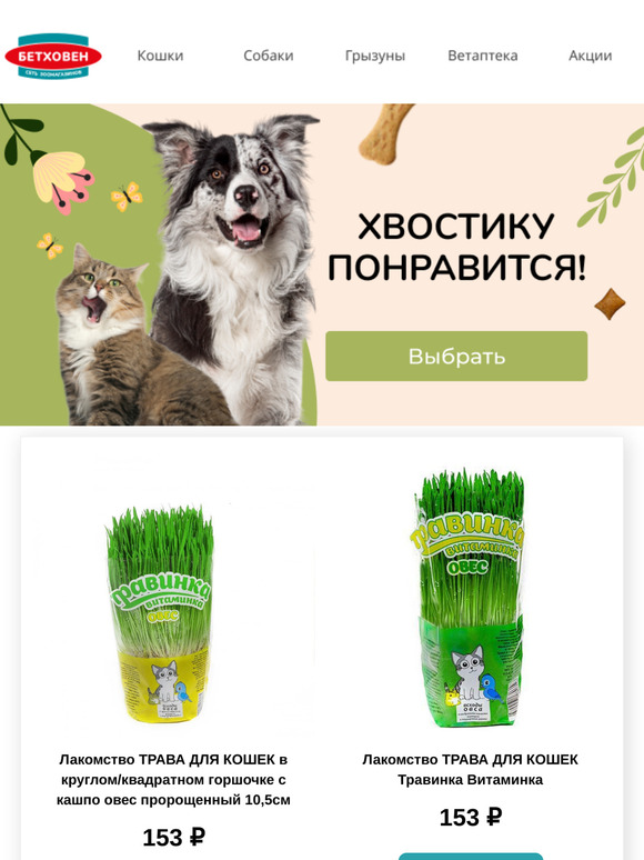 😍 Товары только для вас и вашего любимца! ❤️