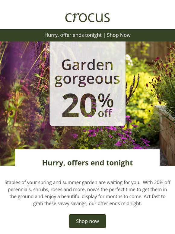 Hurry 20% off perennials, shrubs + more, ends tonight ⏰