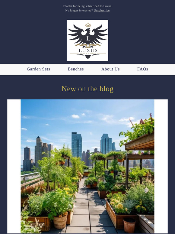 New on our blog