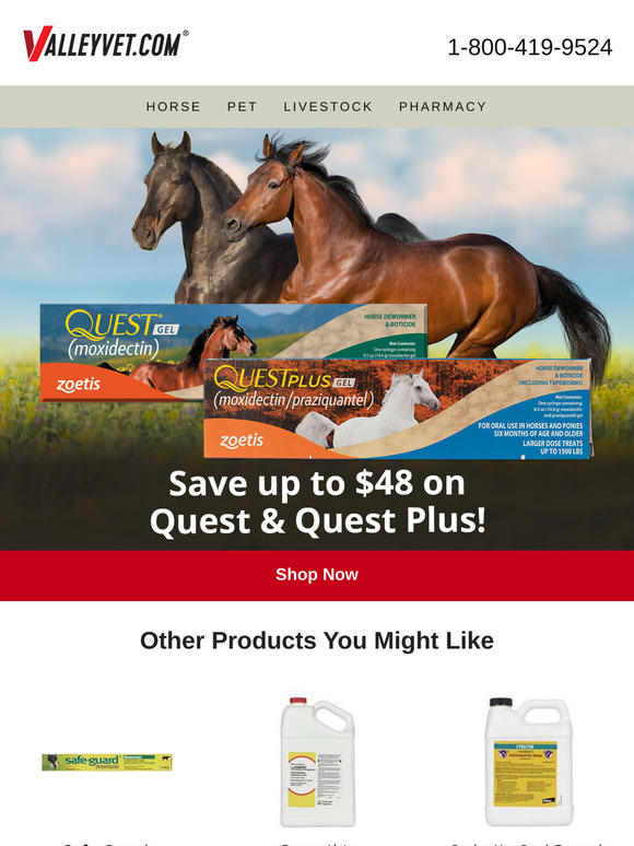 Save up to $48 on Quest!