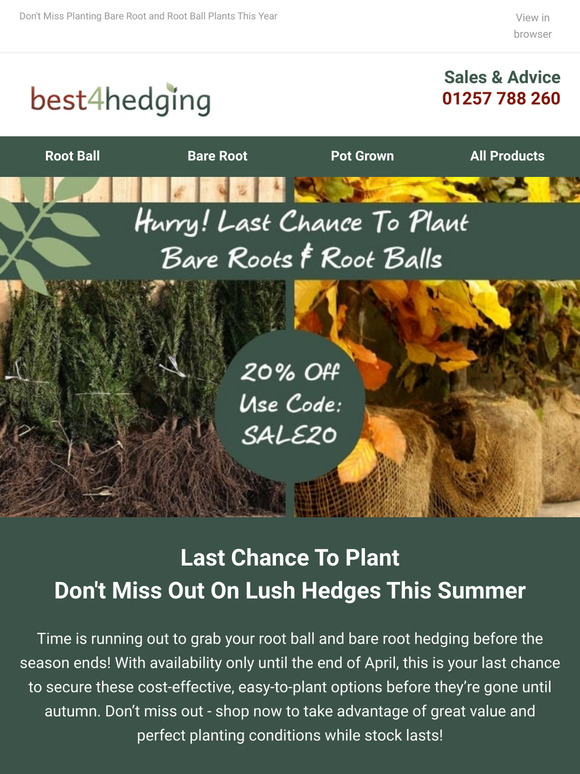 🚨 Last Chance Saloon For Root Balls & Bare Roots - SAVE 20%