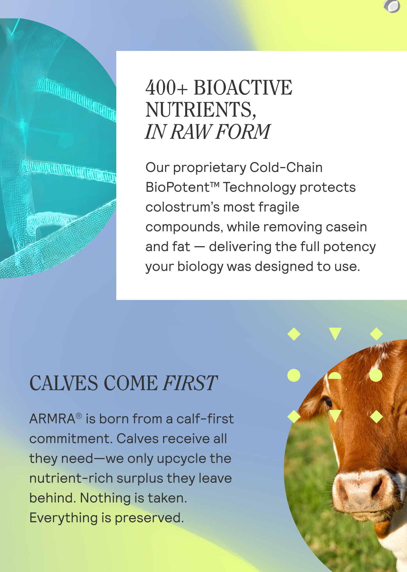 400+ BIOACTIVE NUTRIENTS,  IN RAW FORM  Our proprietary Cold-Chain BioPotent™ Technology protects colostrum’s most fragile compounds, while removing casein and fat — delivering the full potency your biology was designed to use.